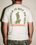 America Is Not An Idea